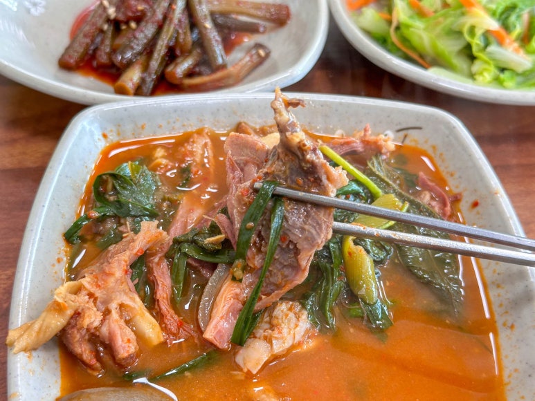 청솔흑염소 이미지
