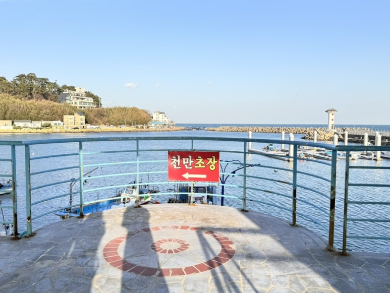 주전초장 이미지
