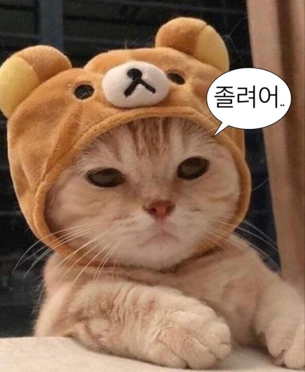 (주)퀸투어 이미지