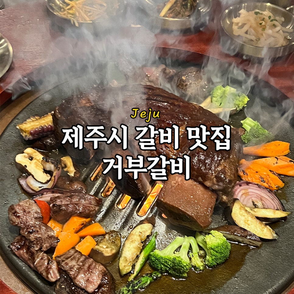 트래블리아 이미지