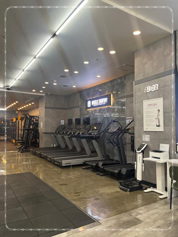 머슬컴퍼니 이미지