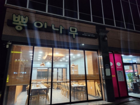 뽕이나무 이미지