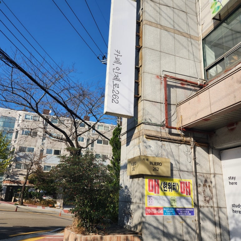 인제로262 이미지