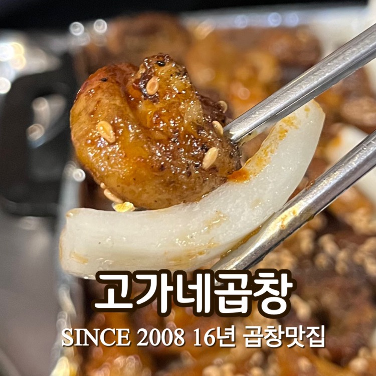 용두페이 이미지
