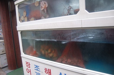 오륙도해물 이미지