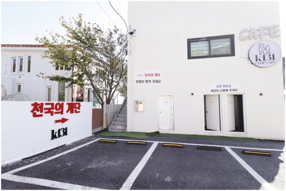 케이오션 이미지