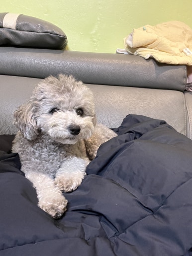 농가마트목천서리점 이미지