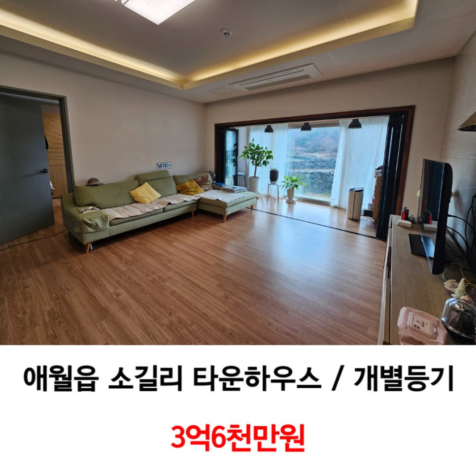 예그리 이미지
