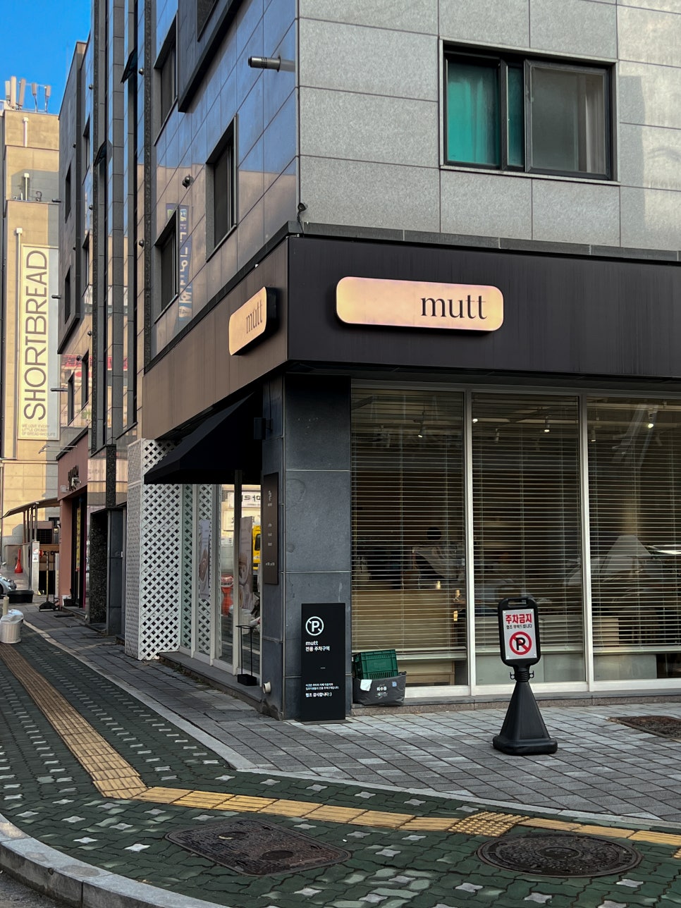 무티티(mutt) 이미지