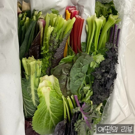 샐러드박스양주 이미지