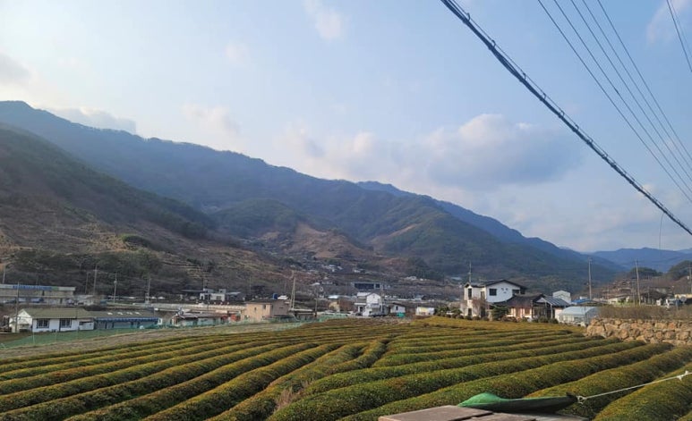 백운횟집 이미지