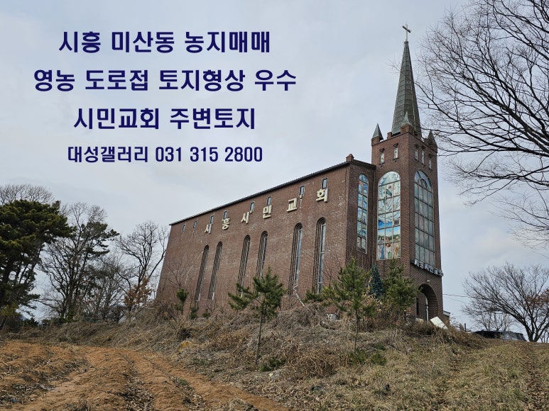 시흥시민교회(시청) 이미지