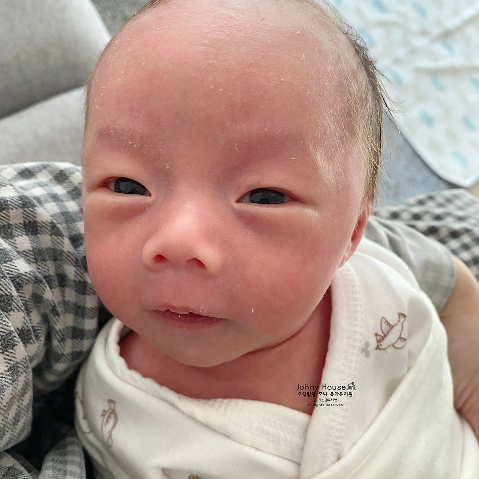 깨끗태진 이미지