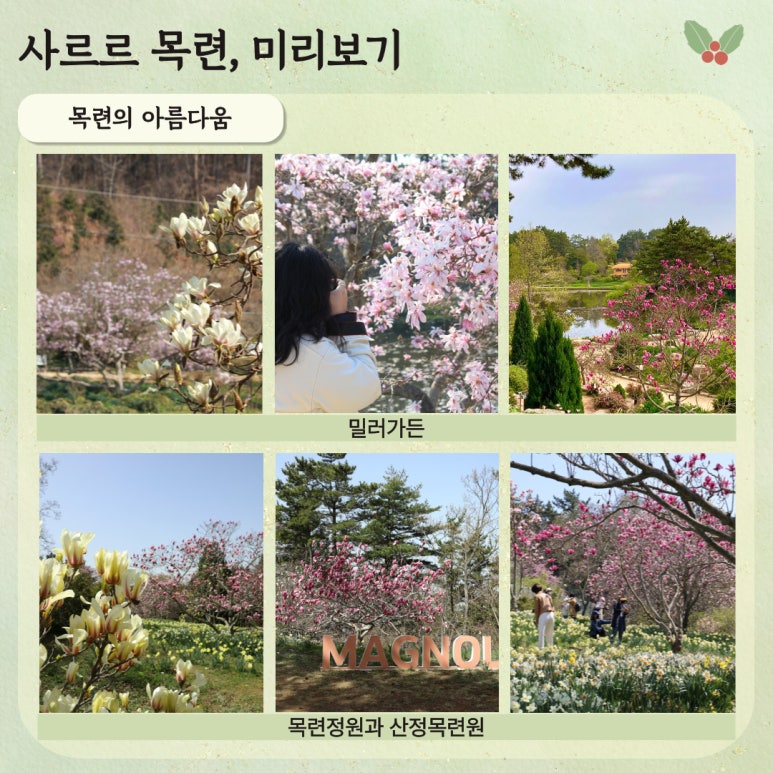 목련슈퍼 이미지