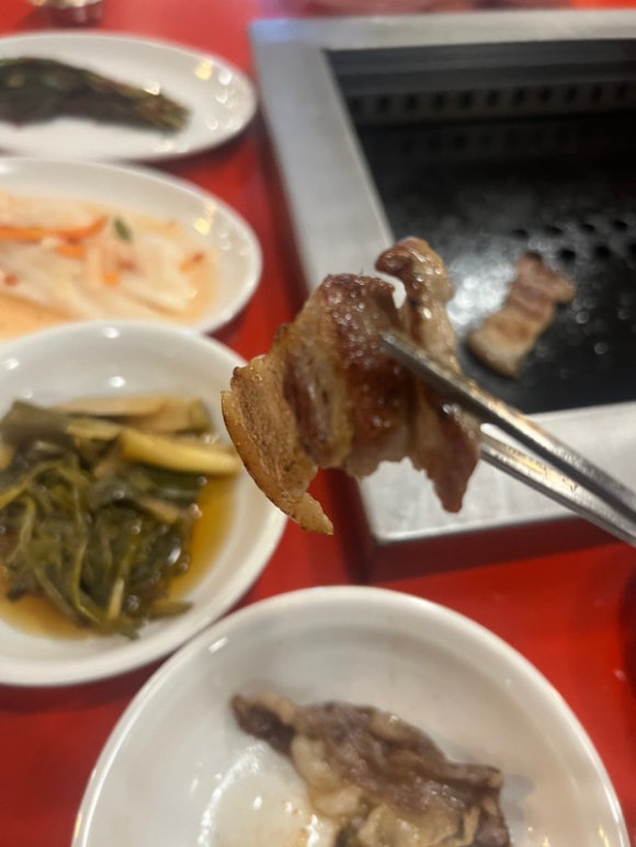 홍지 이미지