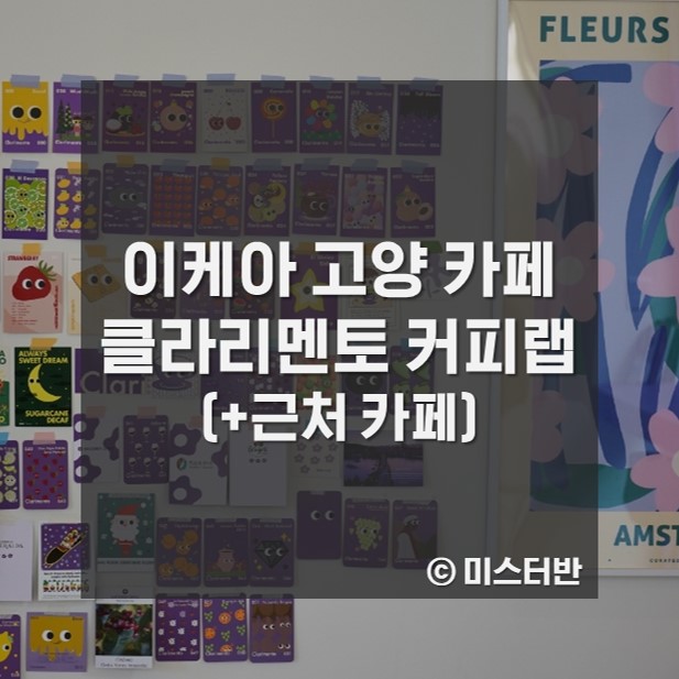 클라리멘토 이미지