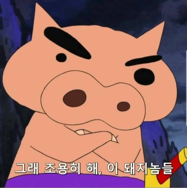 더원짐대치 이미지