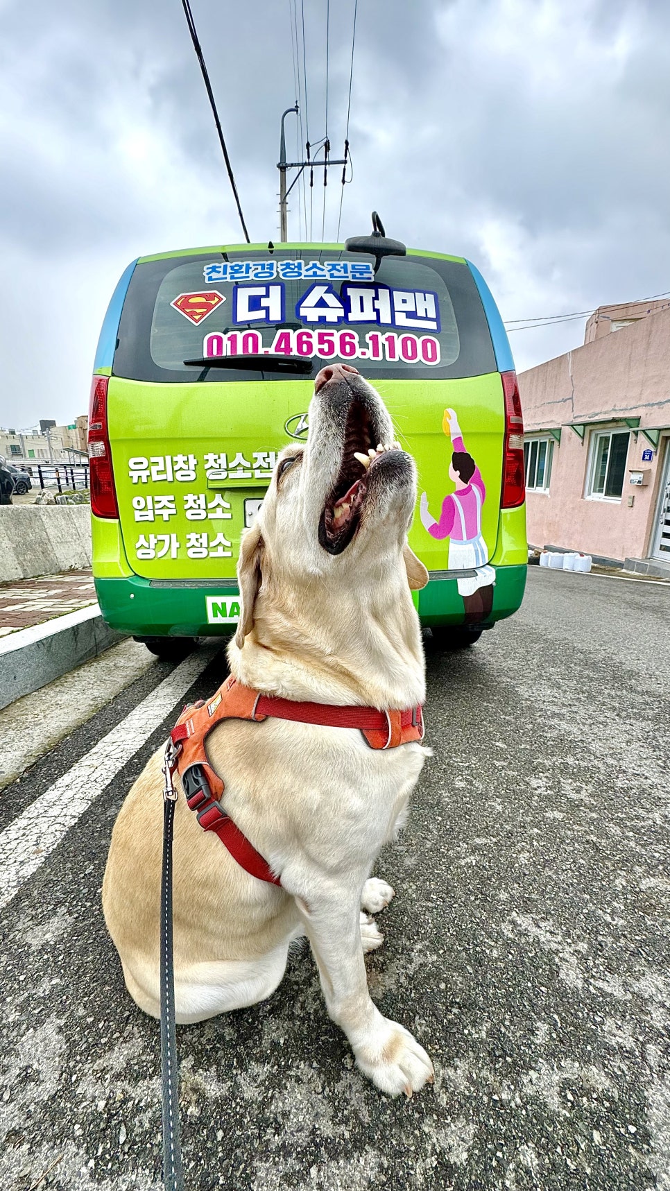 더슈퍼맨 이미지