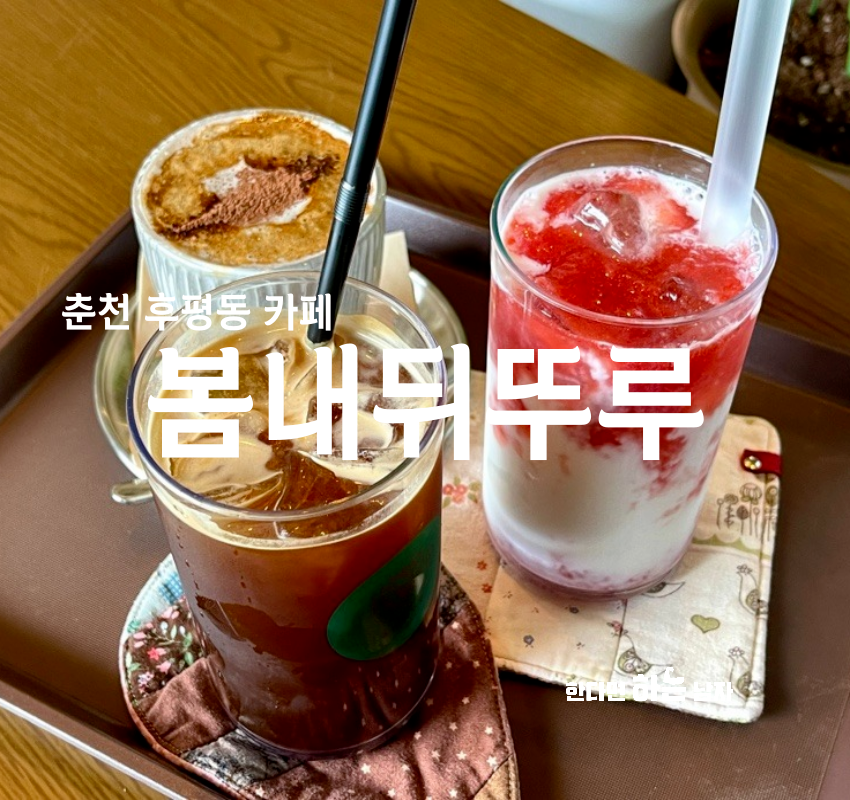 봄내뒤뚜루 이미지