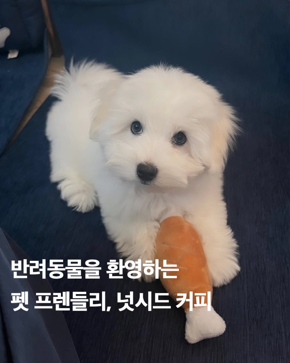 넛시드커피 이미지