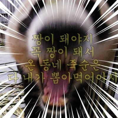 바오투어 이미지