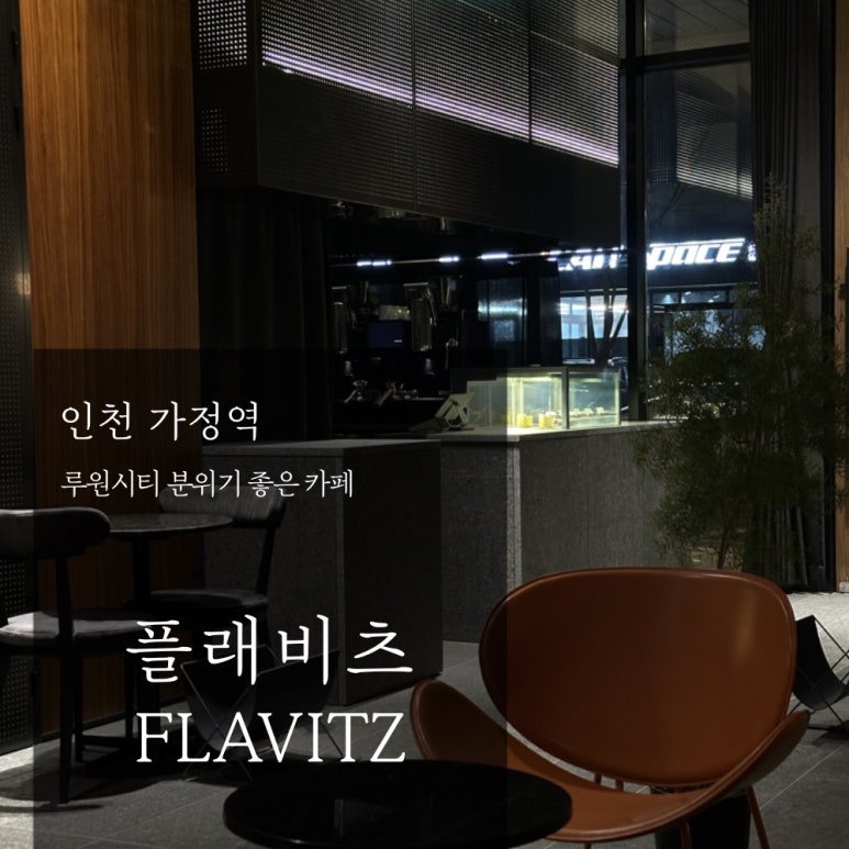 플래비츠 이미지