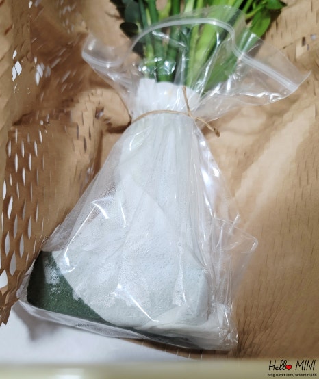 엔블레스유 이미지