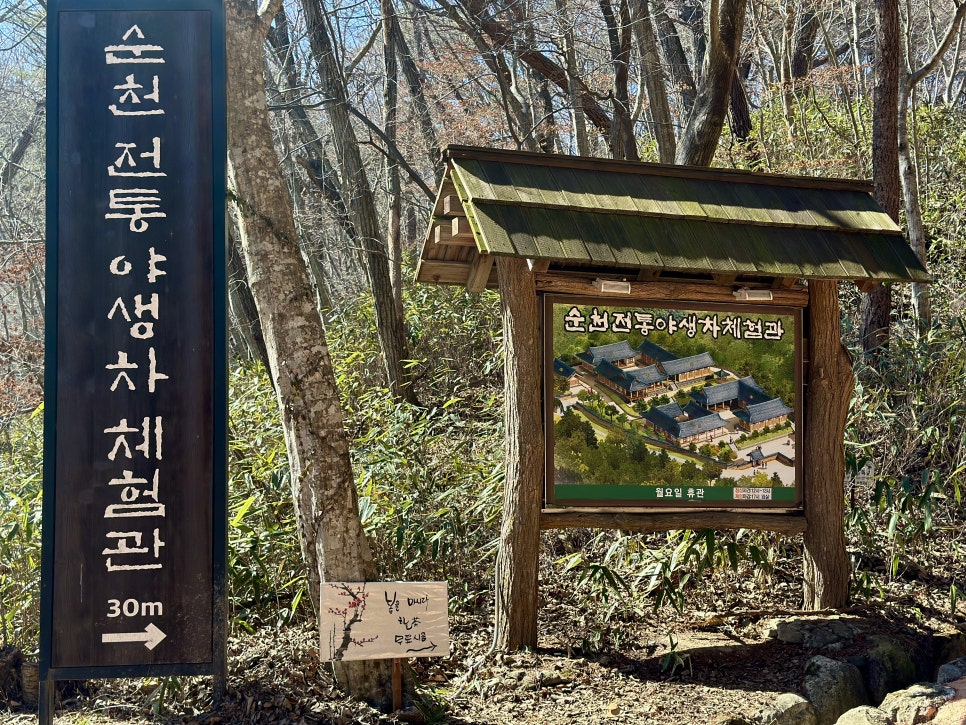 벚꽃다례 이미지
