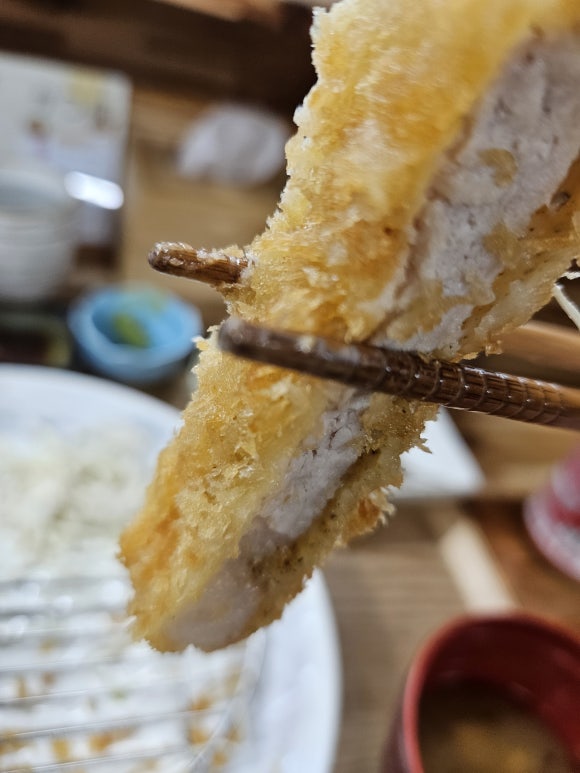 카츠신 이미지