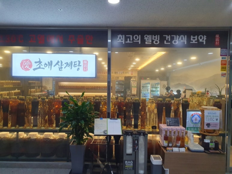 초애 이미지