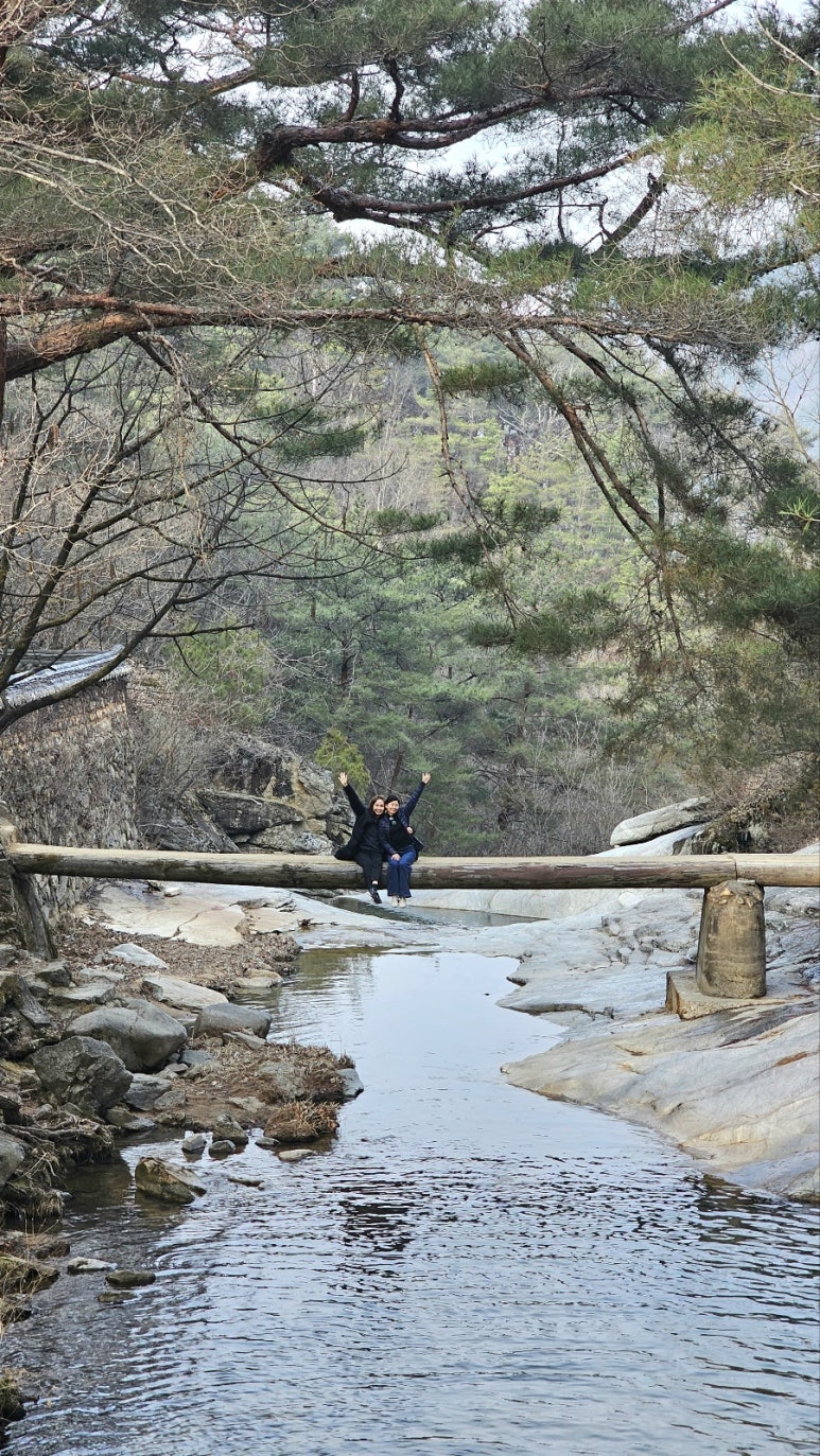 마리아케이글로벌 이미지
