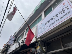 에바가위컷 전문점 이미지
