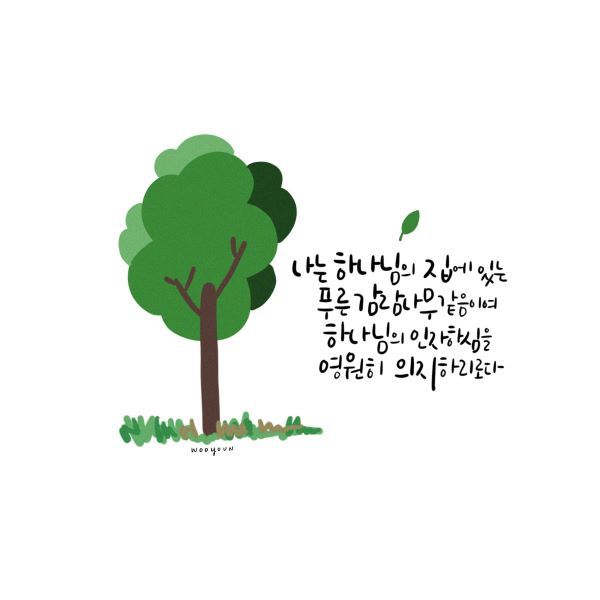 푸른감람나무 이미지