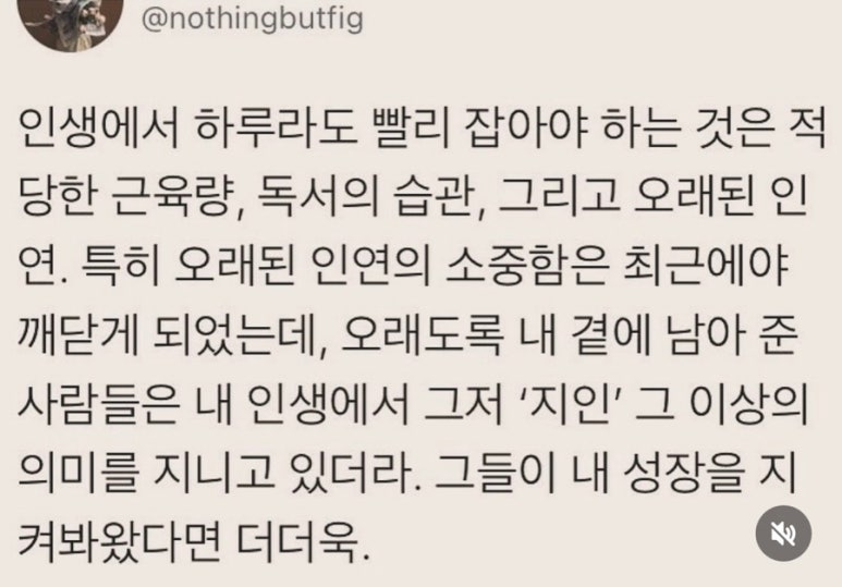아브니르 이미지