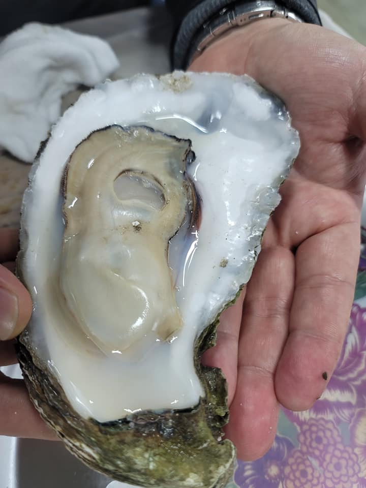 백운횟집 이미지
