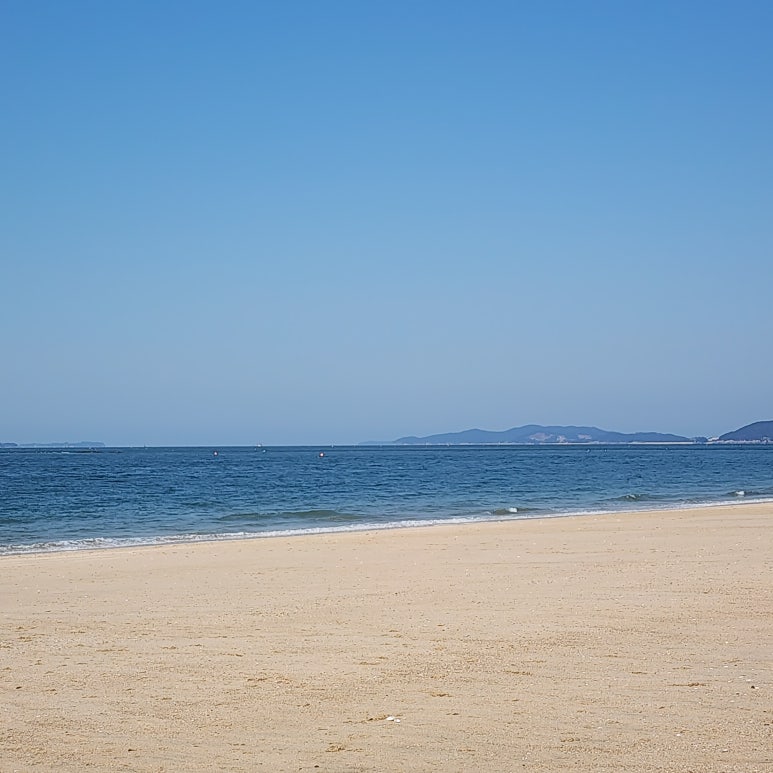 먹보네조개구이 이미지