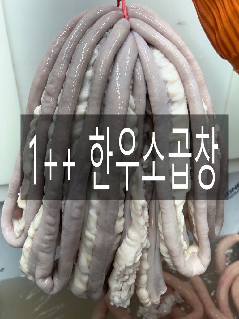 두레유통 이미지