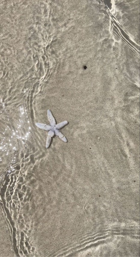 바다핸드폰 이미지