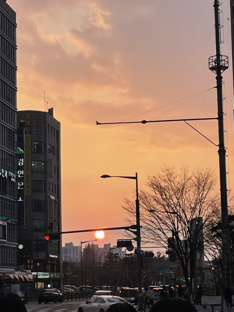 오정상회 이미지