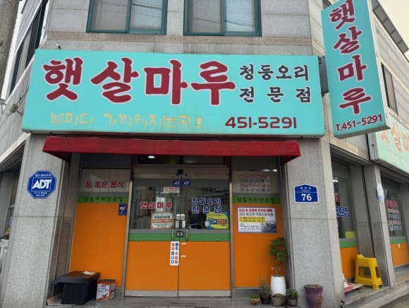 햇살마루청둥오리 이미지