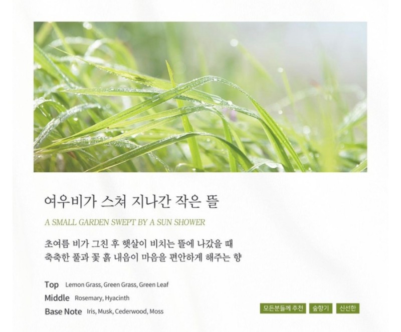 우디룸 이미지