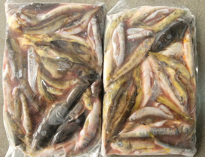 자연수산 식당 이미지