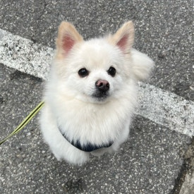 에바가위컷 전문점 이미지