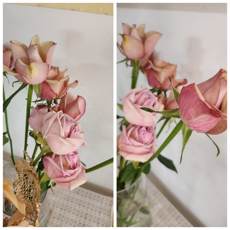 꽃을안기다 이미지