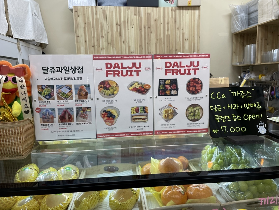달쥬(DALJU) 이미지