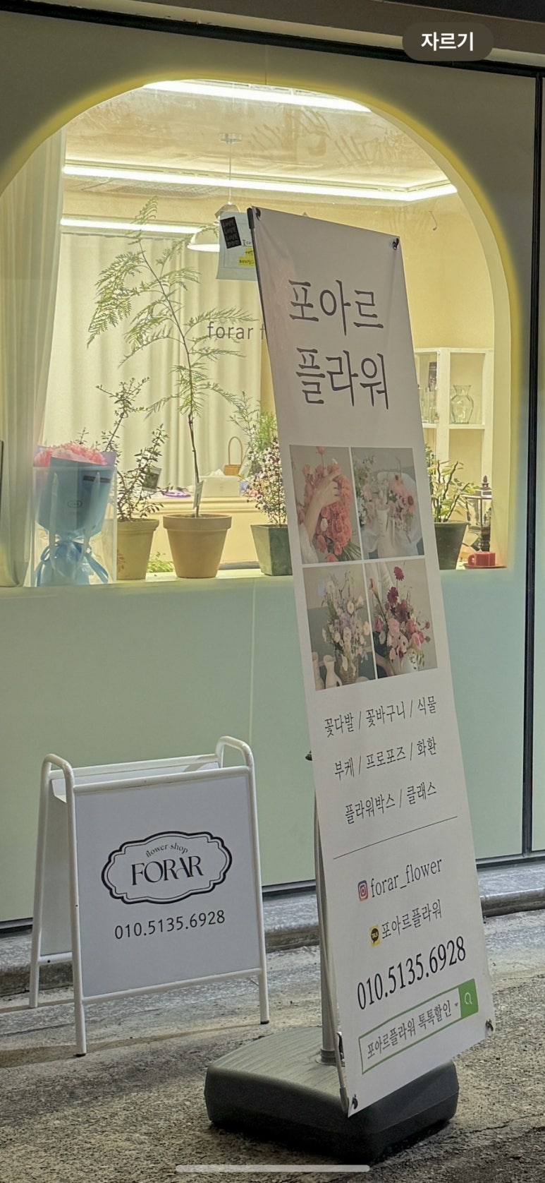 포아르플라워 이미지