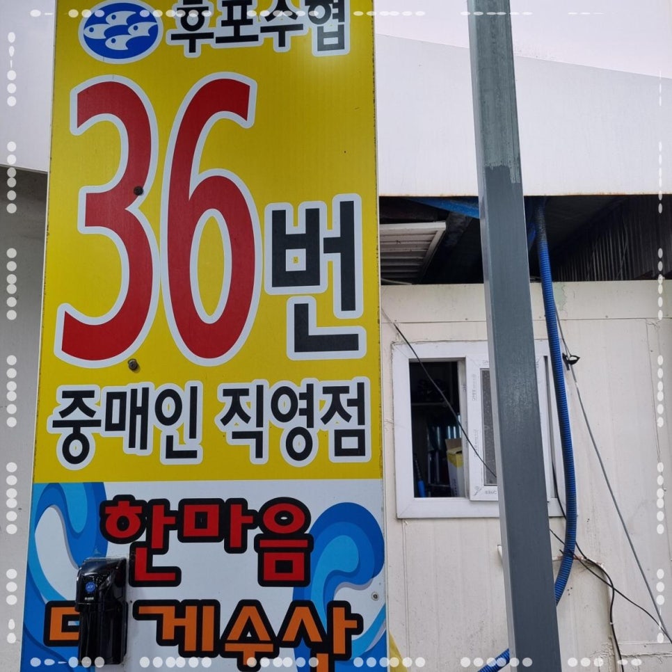 백년대게 이미지