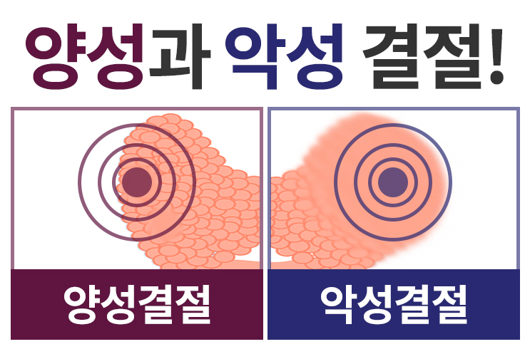 성모갑유정외과의원 이미지