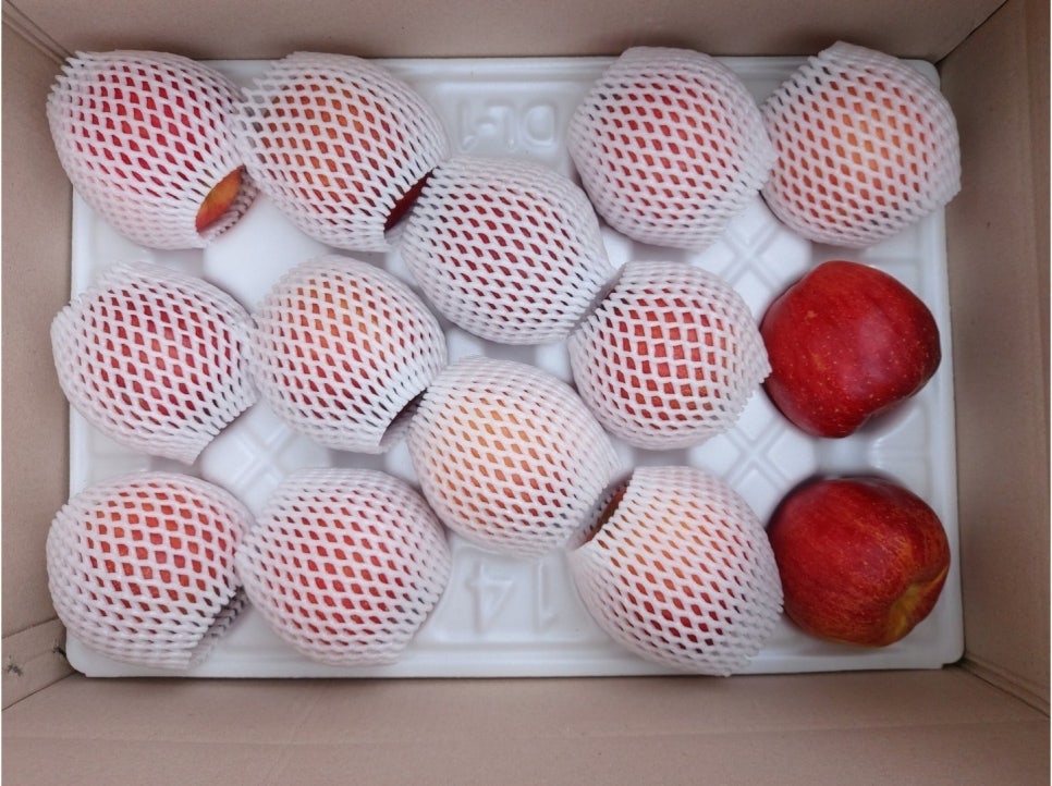 명품스토리 이미지