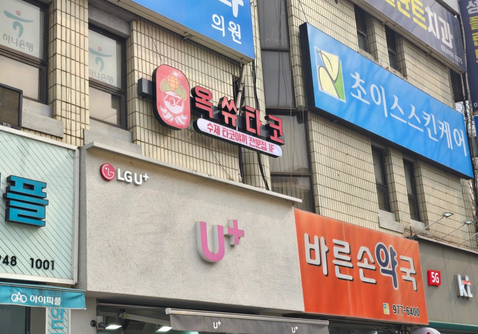 옥쓔타코 이미지
